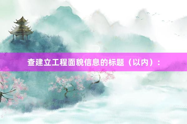 查建立工程面貌信息的标题（以内）：