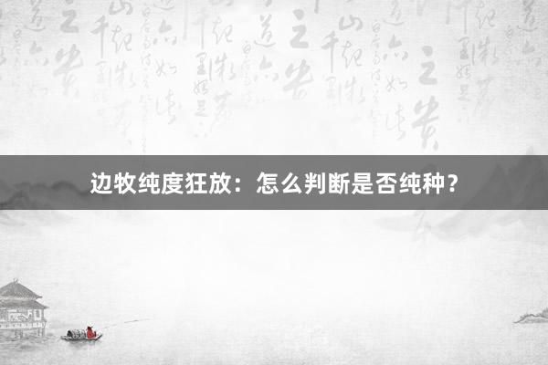 边牧纯度狂放：怎么判断是否纯种？